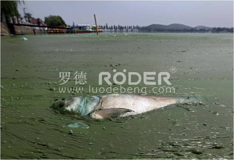 午夜成人网站在线观看凸轮午夜AV福利影视